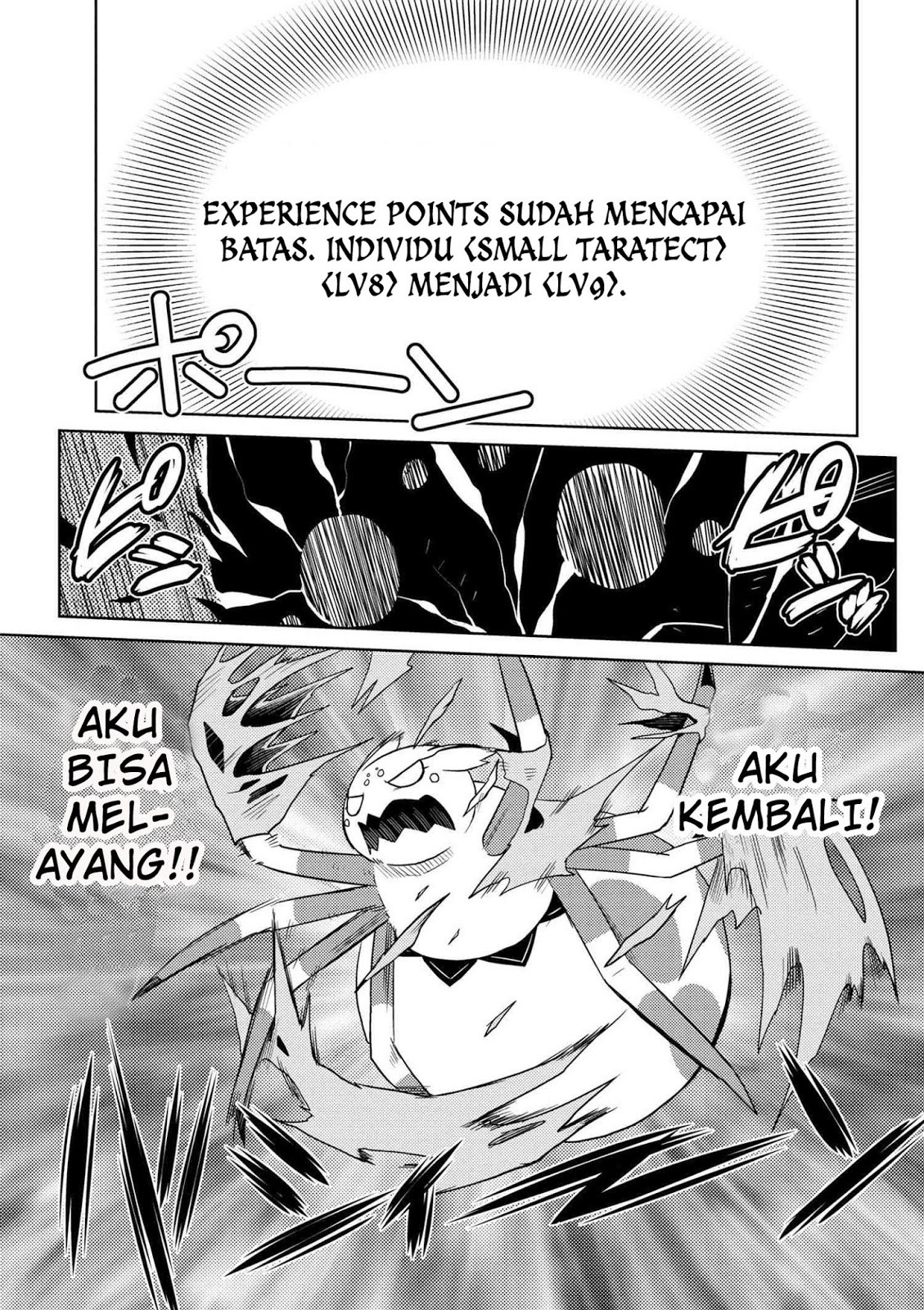 Kumo desu ga, Nani Ka?